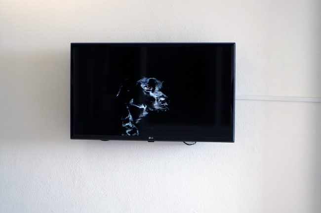 Black Dog - video at Digiteliseum, Malmö